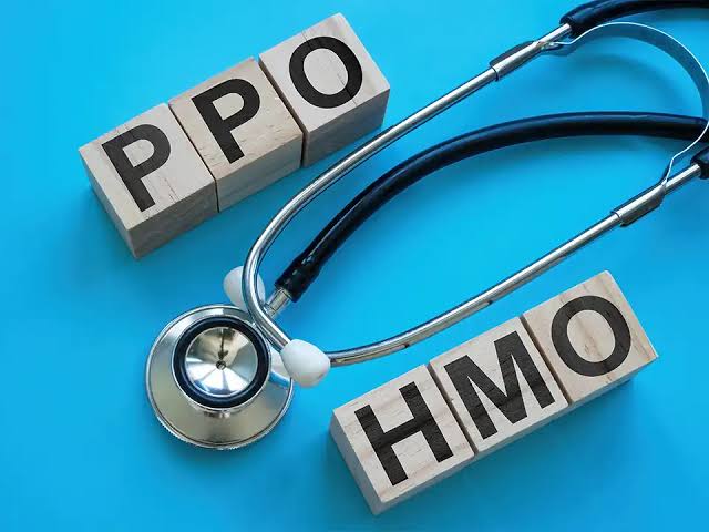 HMO vs PPO for freelancers which health plan is better